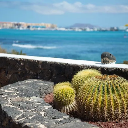 La Golondrina - Froont Corralejo